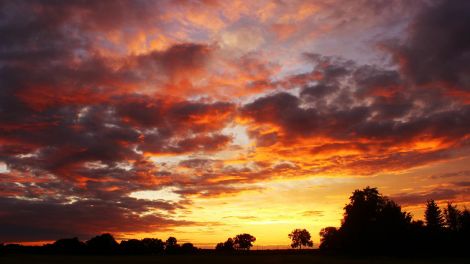 Abendrot im Oderbruch in Lindendorf, Foto: Denny Krüger