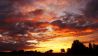 Abendrot im Oderbruch in Lindendorf, Foto: Denny Krüger