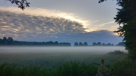 Bianca Burzyk aus Beelitz wünscht eine Guten Morgen, Foto: Bianca Burzyk, 05.09.2023