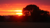 Sonnenuntergang im Oderbruch bei Seelow, Foto: Denny Krüger, Antenne-Studionachricht - 26.07.2023