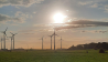 Mecklenburg-Vorpommern ist immer eine Reise wert, Foto: Marlis Memmert aus Jänickendorf über die Antenne-Studionachricht - 01.08.2023