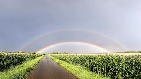 Regenbogen im Oderbruch in Lindendorf, Märkisch-Oderland, Foto: Denny Krüger