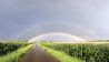 Regenbogen im Oderbruch in Lindendorf, Märkisch-Oderland, Foto: Denny Krüger