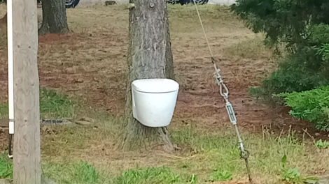Es gibt nicht nur Baumhäuser, es gibt auch Baum WC's - entdeckt in Crinitz, Foto: Rene Kamenz aus Finsterwalde, Antenne-Studionachricht - 26.07.2023