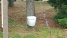 Es gibt nicht nur Baumhäuser, es gibt auch Baum WC's - entdeckt in Crinitz, Foto: Rene Kamenz aus Finsterwalde, Antenne-Studionachricht - 26.07.2023