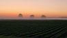 Bäume an einem Feld im Morgennebel, Hörerfoto von Wenke Beyer aus Altdöbern