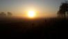 Sonnenaufgang in Lindendorf im Oderbruch, Bild: Denny Krüger