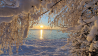 Winter am Senftenberger See, Foto: Enrico Brauer aus Senftenberg über die Antenne-Studio-App - 29.11.2023