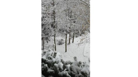 Und schon hat der Winter Einzug gehalten in Cottbus, Foto: Beate Pfeiffer aus Cotbbus über die Antenne-Studio-App - 28.11.2023