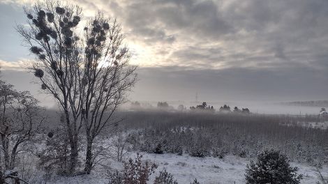 Verschneite Landschaft bei Velten in der Dämmerung, Hörerfoto von Ekkehard Skirl