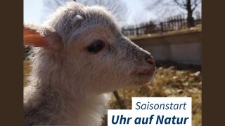 Saisonstart im NABU-Naturerlebniszentrum Blumberger Mühle, Foto: NABU