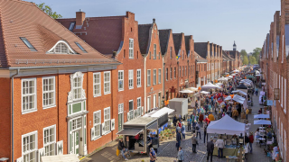 Tulpenfest in Potsdam
