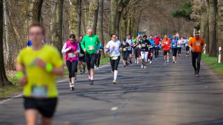 Archivbild: Teilnehmer des Spreewald-Marathons 2013 (Quelle: dpa/Andreas Franke)