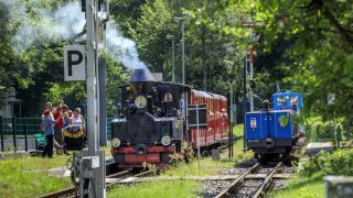 Parkeisenbahn in Cottbus (Quelle: imago images/Rainer Weisflog)