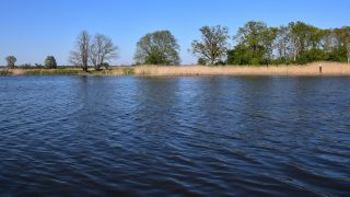 Die Oder in Brandenburg am 09.05.2023. (Quelle: rbb/Andreas Oppermann)