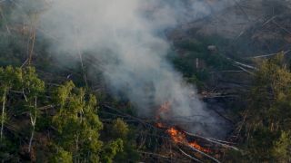 Waldbrand bei Jüterbog 2023 (Quelle: Tino Schöning)